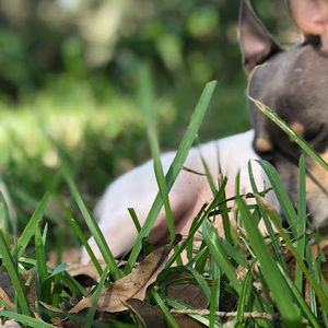 Meet your Posher, Tammy